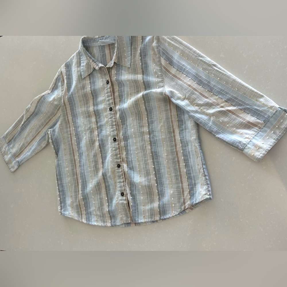 Alfred Dunner petite striped blouse